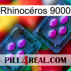 Rhinocéros 9000 03